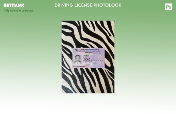 Модерен стил, Швајцарската возачка дозвола претставува преден шаблон за фото изг